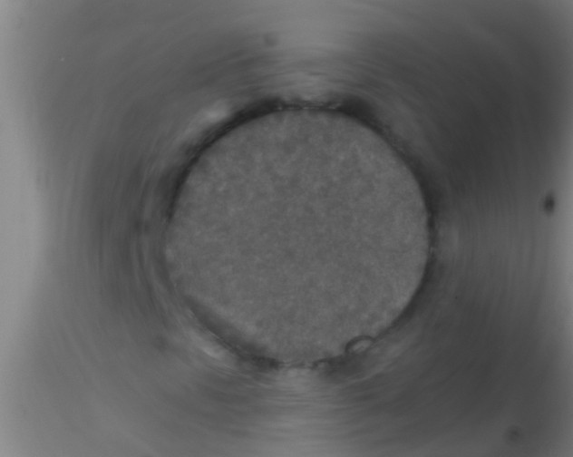 X0000115211297200911251457