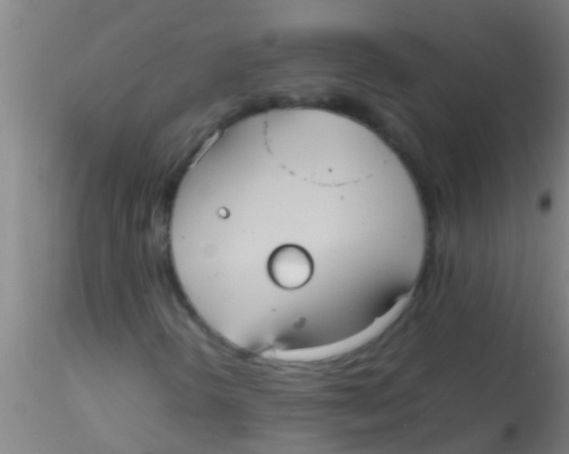 X0000115211298200911251457