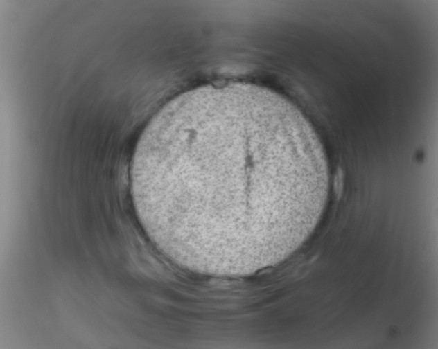 X0000115211299200911251457