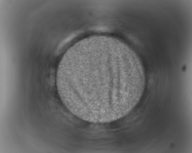 X0000115211301200911251457