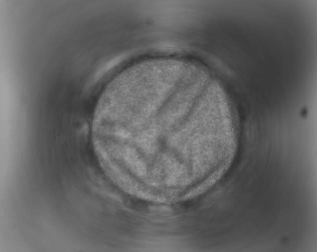 X0000115211302200911251457