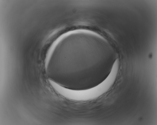 X0000115211303200911251458