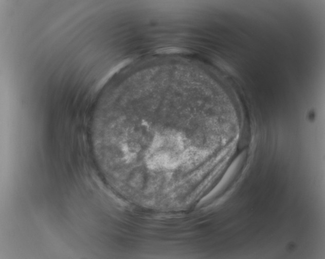 X0000115211305200911251458