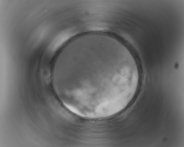 X0000115211306200911251458