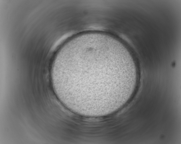 X0000115211307200911251458