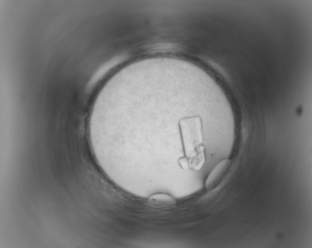 X0000115211309200911251458