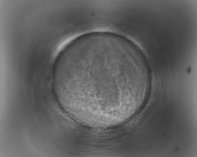 X0000115211311200911251458