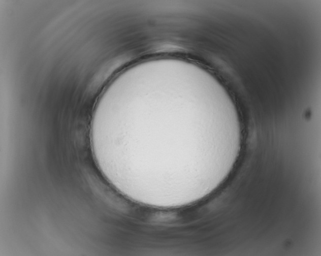 X0000115211313200911251458