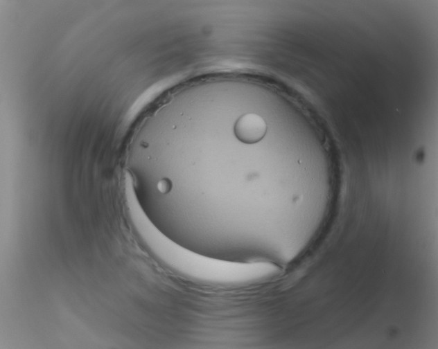 X0000115211314200911251458