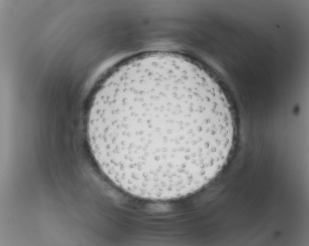 X0000115211315200911251458