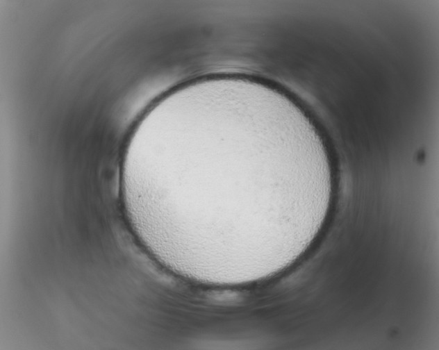 X0000115211317200911251458