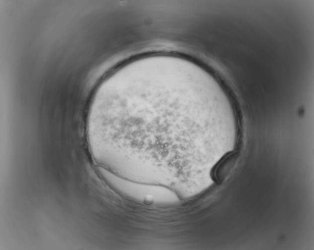 X0000115211318200911251458