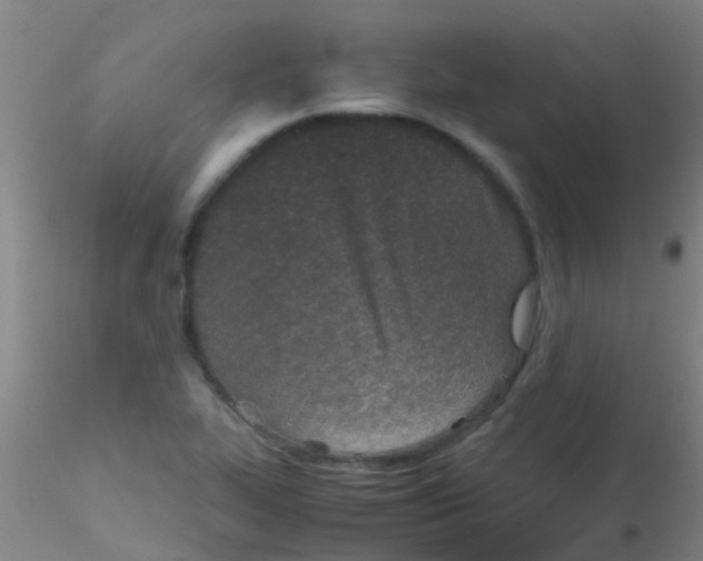 X0000115211319200911251458