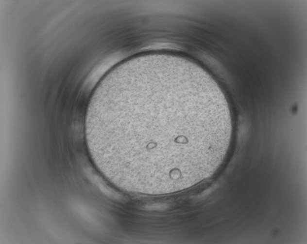 X0000115211321200911251458