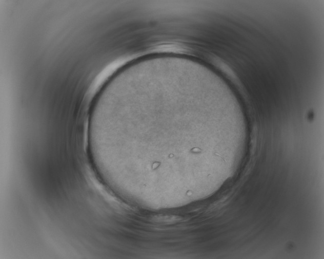 X0000115211323200911251458