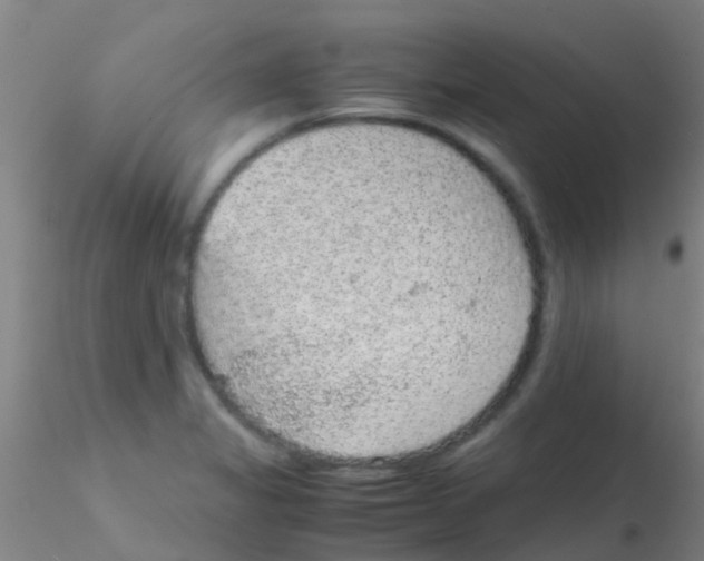 X0000115211325200911251458