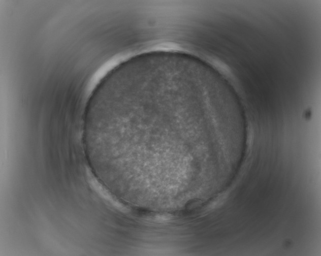 X0000115211326200911251458