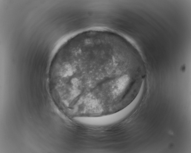 X0000115211327200911251458