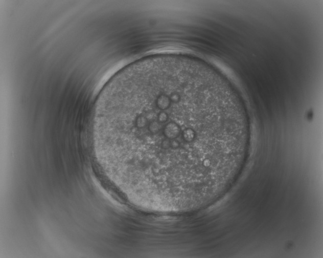 X0000115211329200911251458