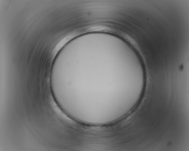 X0000115211330200911251458