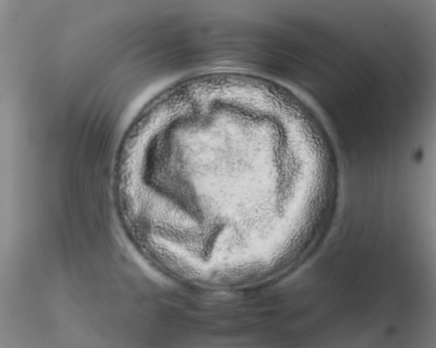 X0000115211333200911251458