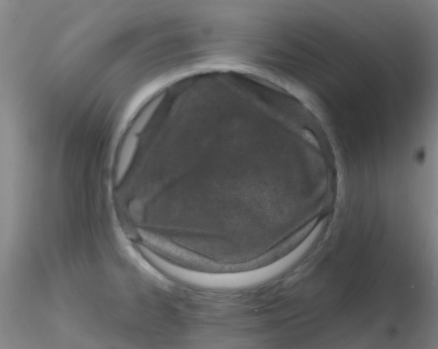 X0000115211334200911251458