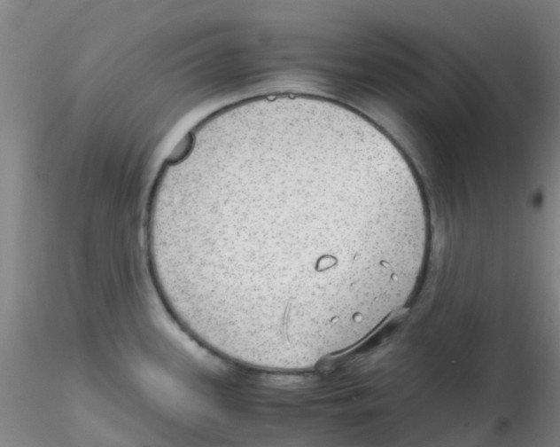 X0000115211339200911251458