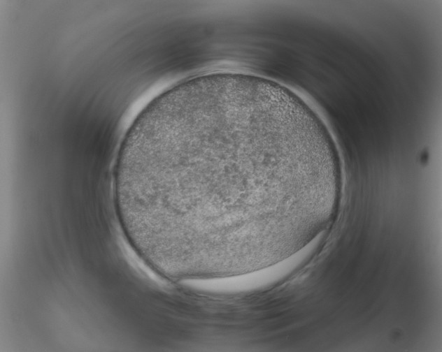 X0000115211341200911251458