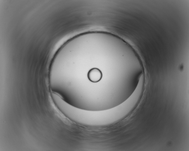 X0000115211342200911251458