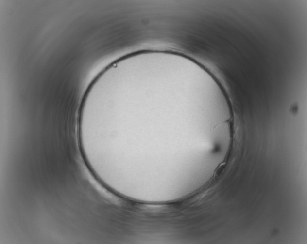 X0000115211343200911251458