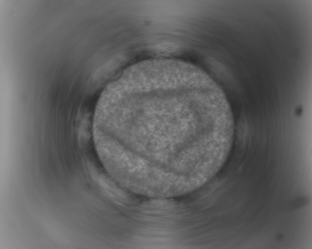 X0000115211346200911251457