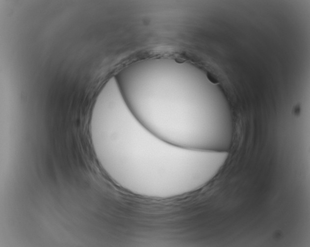 X0000115211348200911251457