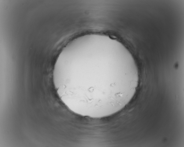 X0000115211349200911251457