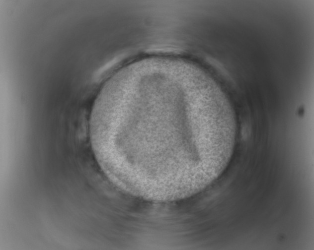 X0000115211350200911251457