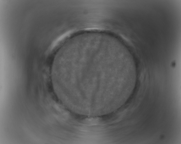 X0000115211351200911251457