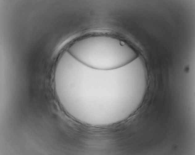 X0000115211352200911251457