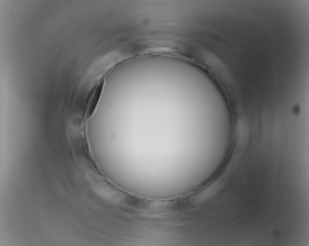 X0000115211353200911251457