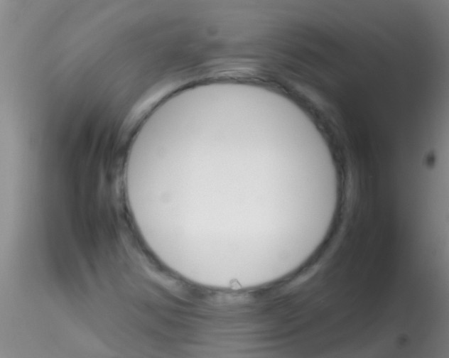 X0000115211354200911251457