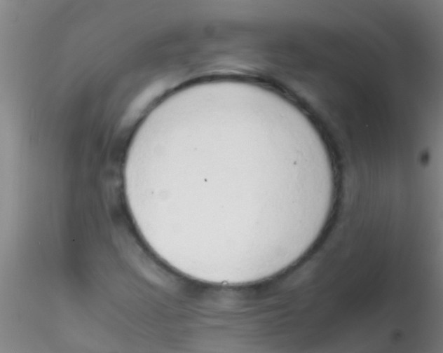 X0000115211355200911251457