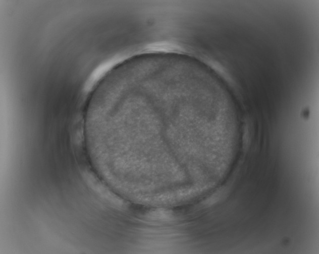 X0000115211358200911251457