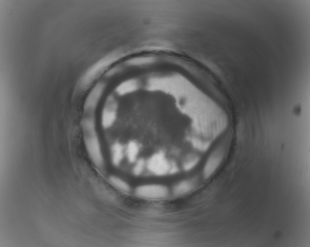 X0000115211359200911251457