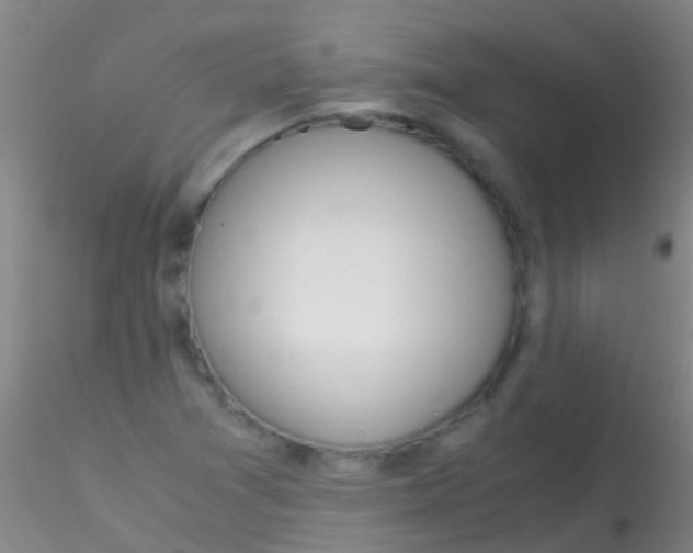 X0000115211361200911251457