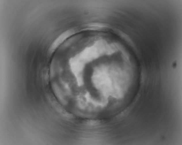 X0000115211362200911251457