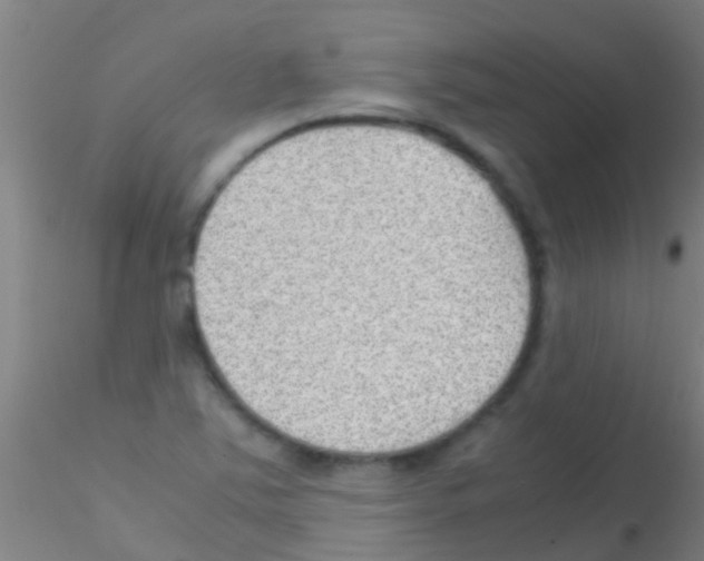 X0000115211363200911251457