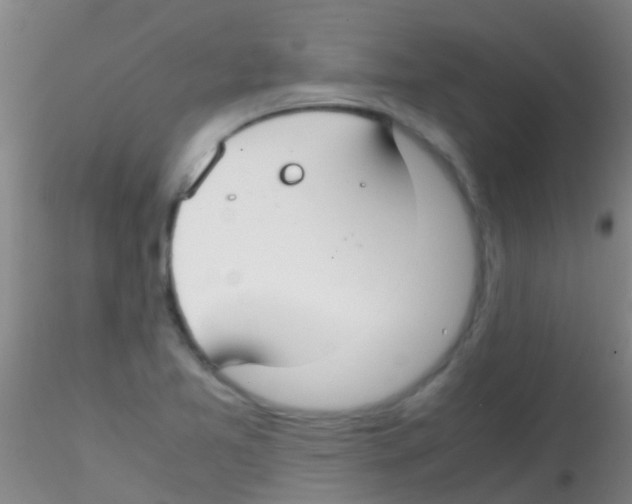 X0000115211365200911251457