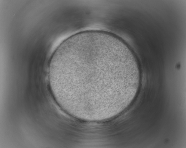 X0000115211366200911251457