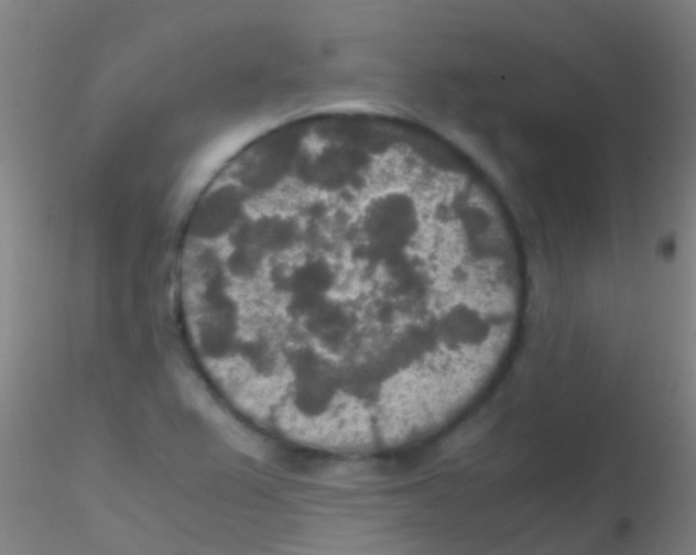 X0000115211367200911251457