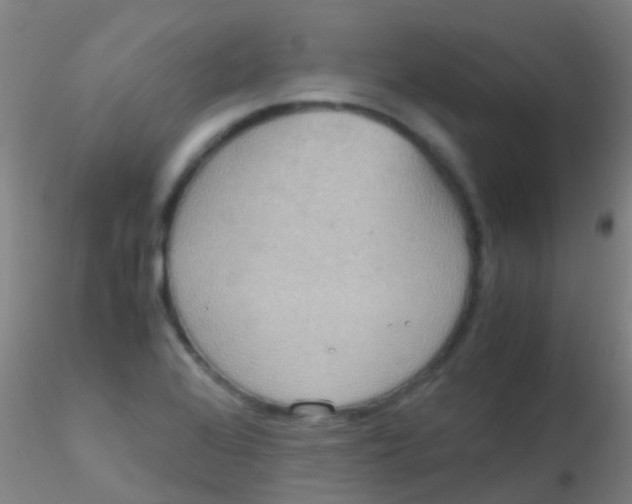 X0000115211368200911251457