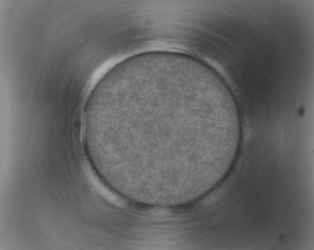 X0000115211371200911251457