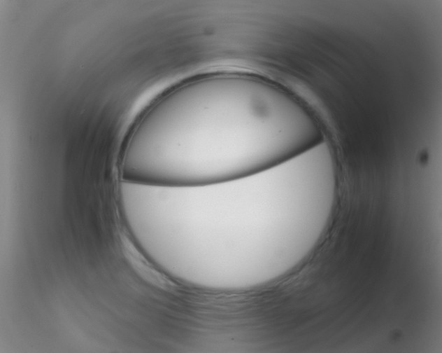 X0000115211372200911251457